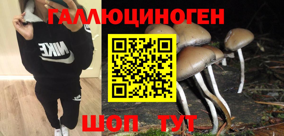 Галлюциногенные грибы Magic Shrooms  Вход с VPN  Кириши  Галлюциногенные грибы GOLDEN TEACHER 