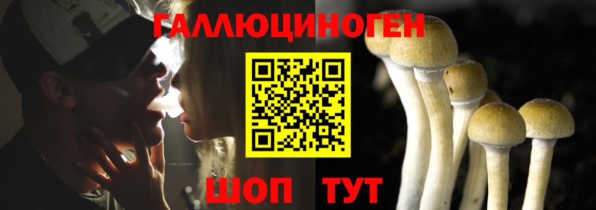 Галлюциногенные грибы ЛСД Кириши